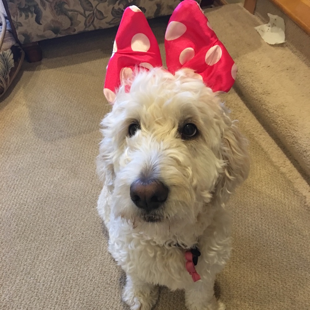 Meet your Posher, Melody